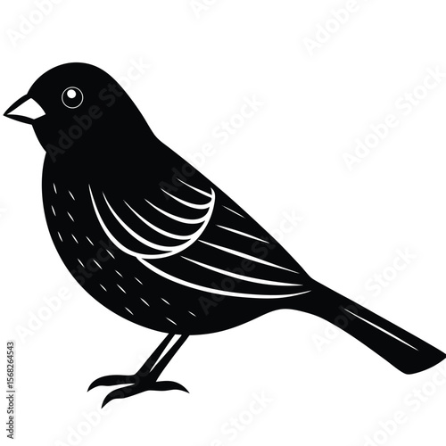 Canary bird single vector shilhouette 