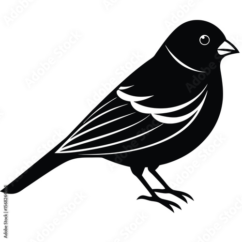 Canary bird single vector shilhouette 