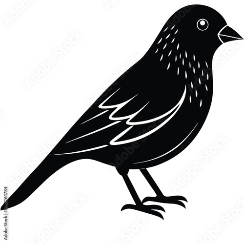 Canary bird single vector shilhouette 