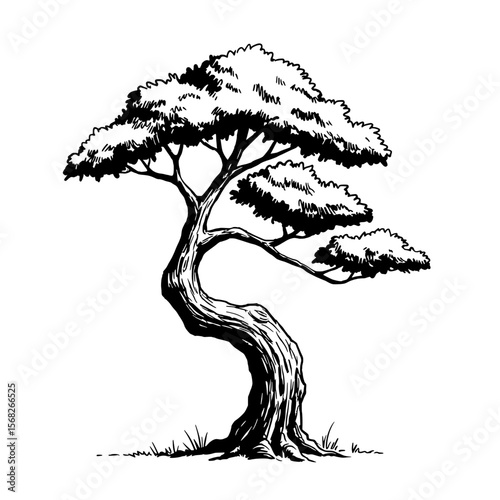 Serene Bonsai Silhouette: A captivating, hand-drawn illustration showcasing a meticulously crafted bonsai tree. It evokes a sense of tranquility, harmony, and the beauty of nature.