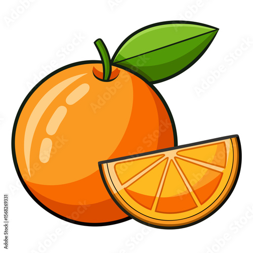 orange fruit vector illustration