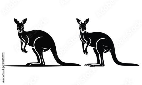 kangaroo