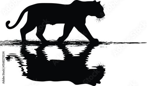 Serene tiger vector silhouette reflected in dark water