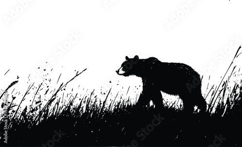 Vector illustration: Majestic black bear silhouette in tall grass, dramatic style.