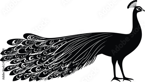 Elegant black vector peacock silhouette; detailed ornate plumage design.