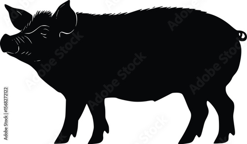 Vector silhouette: Farm pig, simple black, elegant style illustration