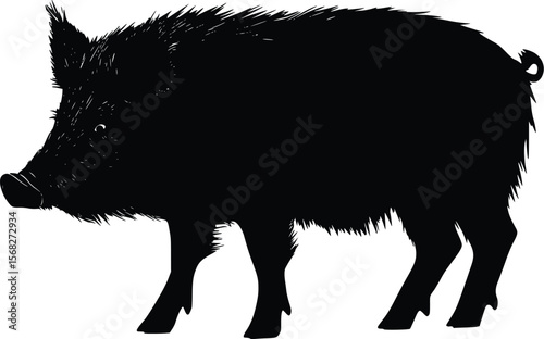 Vector Silhouette: Bristly Wild Boar, Dark Profile Illustration