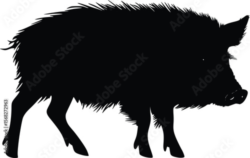 Vector silhouette: hairy wild boar, dark profile, strong design.