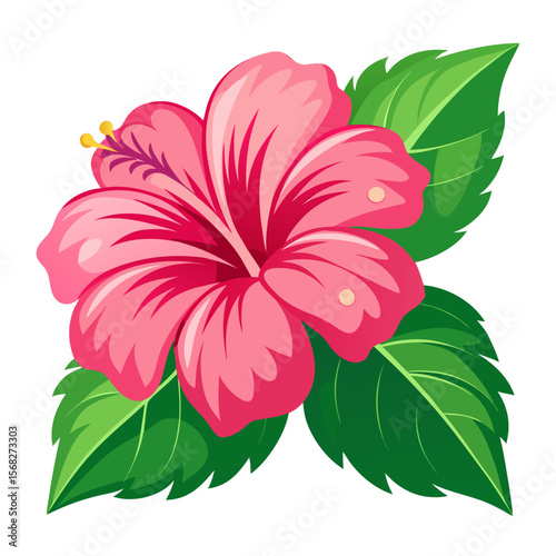 Vector illustration of a pink hibiscus flower with green leaves, 