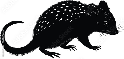 Elegant Vector Illustration: Spotted-tailed Quoll Silhouette, Dark Mood