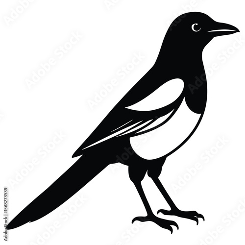 Magpie bird single vector shilhouette 