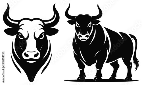 black and white cow