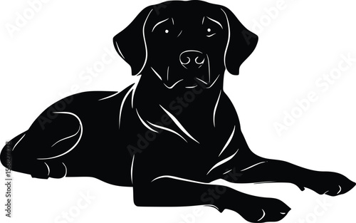 Elegant Labrador Retriever vector silhouette: calm, resting pose.
