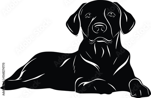Elegant vector silhouette: Labrador Retriever dog lying down, calm pose.