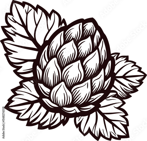 Hand drawn artichoke bud with detailed leaves isolated on white black and white botanical illustration