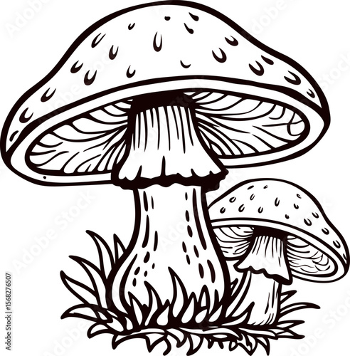 Hand drawn wild mushrooms illustration with grass in vintage engraving isolated on white background