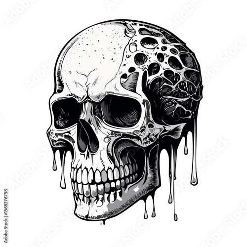 A surreal anatomical skull with the top half melting into dripping, organic forms vintage black and grey engraved style white background