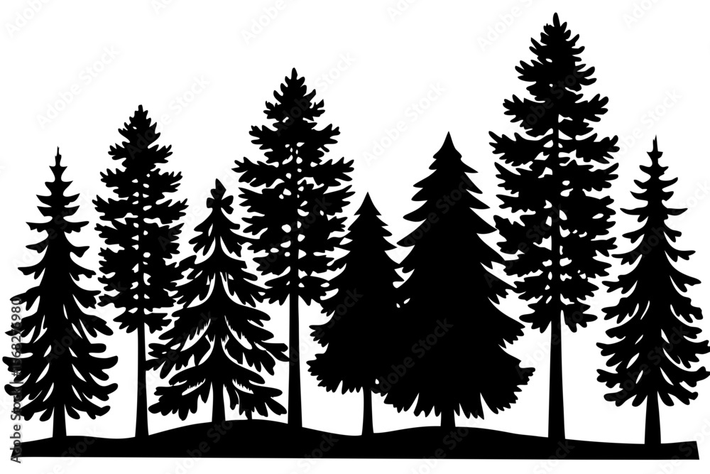 Obraz premium Majestic Evergreen Forest Silhouette Black and White Pine Tree Vector Illustration