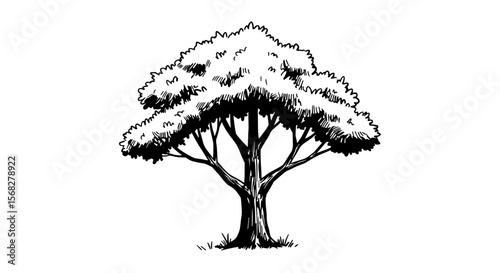 Tree in Monochromatic Majesty: A majestic tree, depicted in grayscale, stands tall with its intricate branches and lush leaves, its form captured in delicate lines and shadows.