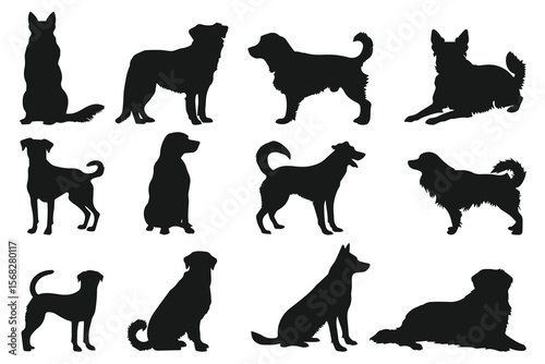 Silhouettes of twelve different dog breeds each in a unique pose