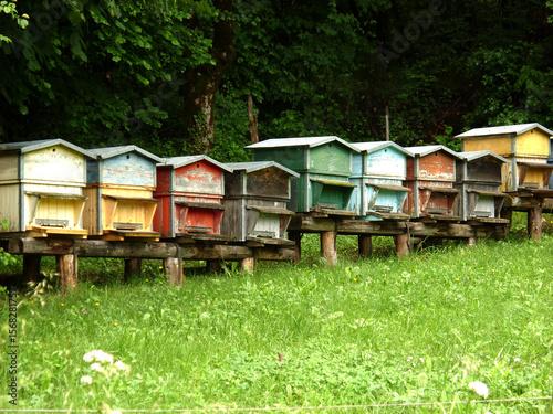 Coloured Bee Hives