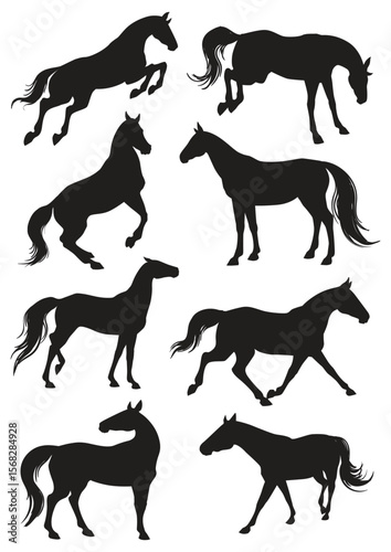 Silhouette of multiple horses in various poses on a white background
