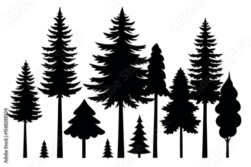Coniferous Forest Silhouettes – Pine, Spruce, and Evergreen Tree Vector Illustration of Nature Landscape"