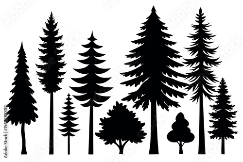 Coniferous Forest Silhouettes – Pine, Spruce, and Evergreen Tree Vector Illustration of Nature Landscape"