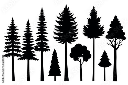 Coniferous Forest Silhouettes – Pine, Spruce, and Evergreen Tree Vector Illustration of Nature Landscape"