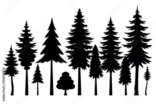 Coniferous Forest Silhouettes – Pine, Spruce, and Evergreen Tree Vector Illustration of Nature Landscape"