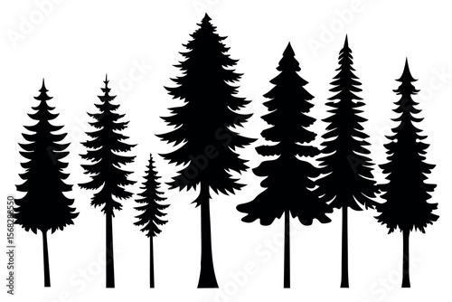 Coniferous Forest Silhouettes – Pine, Spruce, and Evergreen Tree Vector Illustration of Nature Landscape"