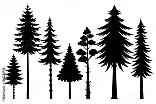 Coniferous Forest Silhouettes – Pine, Spruce, and Evergreen Tree Vector Illustration of Nature Landscape"