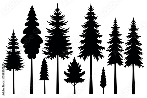 Coniferous and Pine Tree Silhouettes – Vector Collection of Forest Trees on White Background