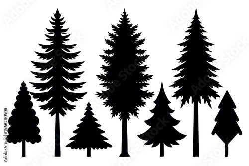 Coniferous and Pine Tree Silhouettes – Vector Collection of Forest Trees on White Background