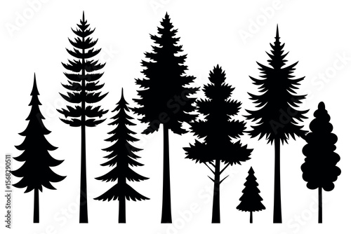 Coniferous and Pine Tree Silhouettes – Vector Collection of Forest Trees on White Background