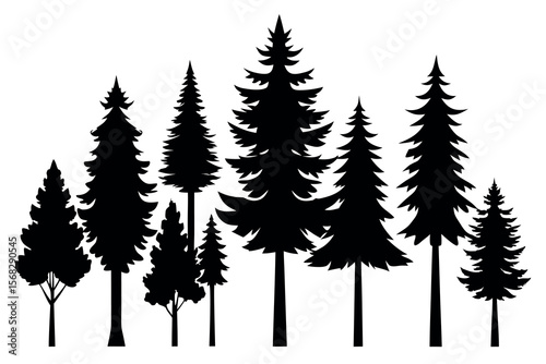 Coniferous and Pine Tree Silhouettes – Vector Collection of Forest Trees on White Background