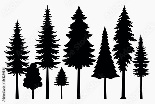 Coniferous and Pine Tree Silhouettes – Vector Collection of Forest Trees on White Background