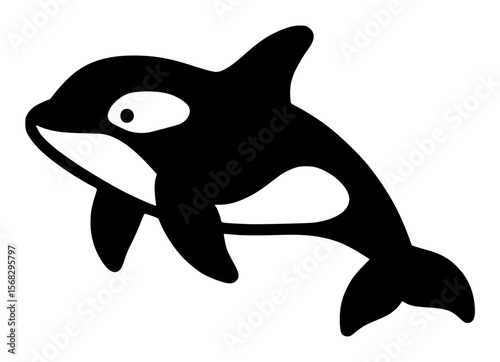 orca whale, killer whale, oceanic dolphin family, illustration, vector, logo