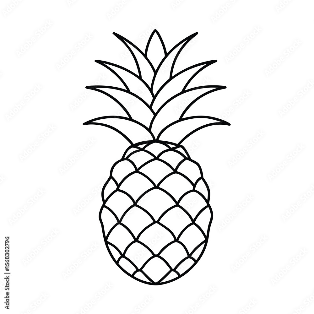 Fototapeta premium pineapple vector illustration