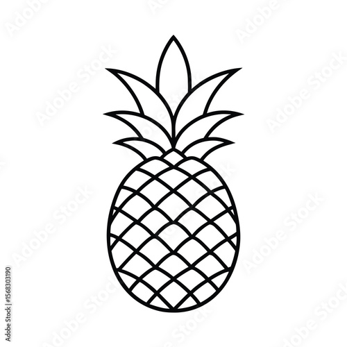 vector illustration of pineapple