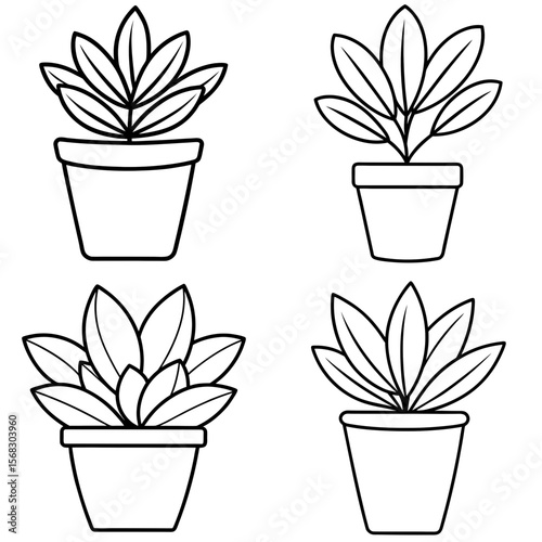 Home Plant Coloring Book Page - Indoor Plant Line Art Illustration for Kids and Adults