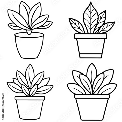 Home Plant Coloring Book Page - Indoor Plant Line Art Illustration for Kids and Adults