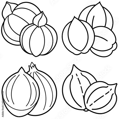 Hazelnuts Coloring Book Page - Nutty Food Line Art Illustration for Kids and Adults