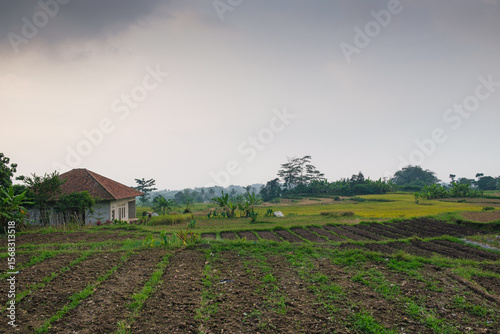 Rural Landscape with Fields, Trees, and a Small House Under Cloudy Skies