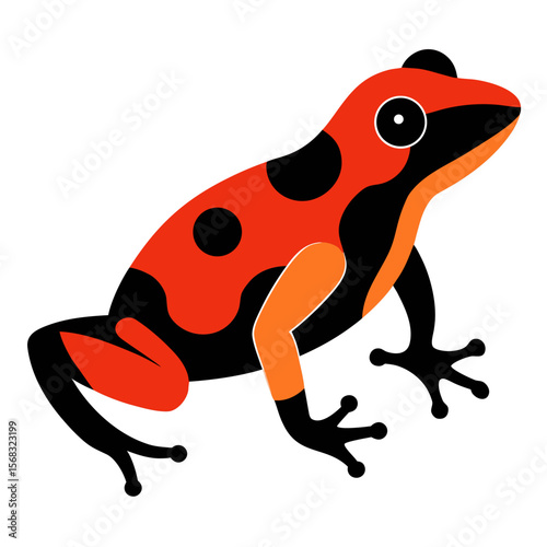 frog on white background