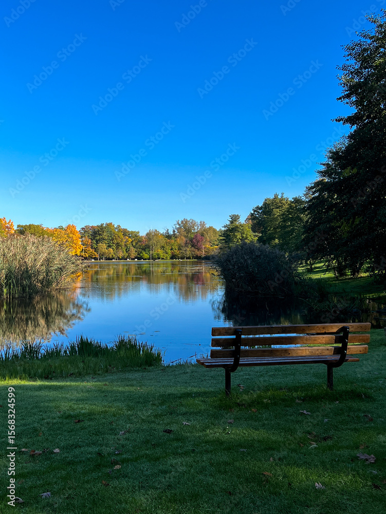 Obraz premium bench in the park