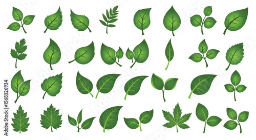 Leaf icons set ecology nature element, green leafs, environment and nature eco sign. Leaves on white background – for stock