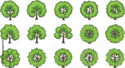 Cartoon Green Tree Set, Front and Top View Vector Trees for Landscape Design, Game Assets, Nature Map, and Outdoor Illustration