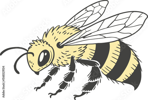 bee. simple yellow and black bumblebee art. honey bee symbol. transparent png and vector illustration.children, clip art, fly, graphic, insect, queen, signs, striped, transparent, wing, drawing, honey