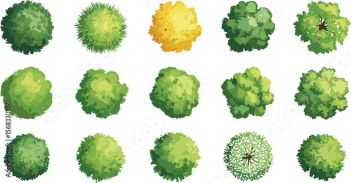 Top View of Lush Green Bushes and Shrubs, Realistic Garden Foliage Collection for Landscaping, Nature, Outdoor, and Map Design